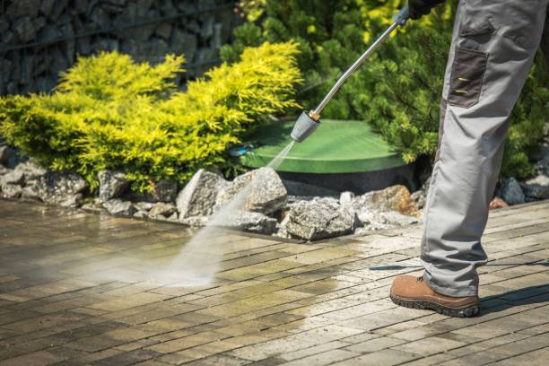Animal Enclosure Cleaning in Decatur, IL